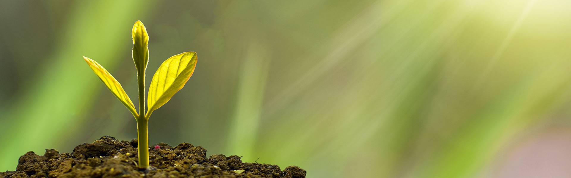 Quelle: pixabay.com